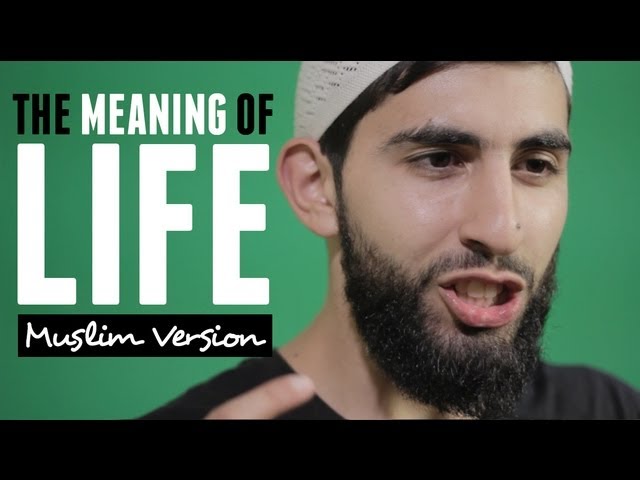 The meaning of life